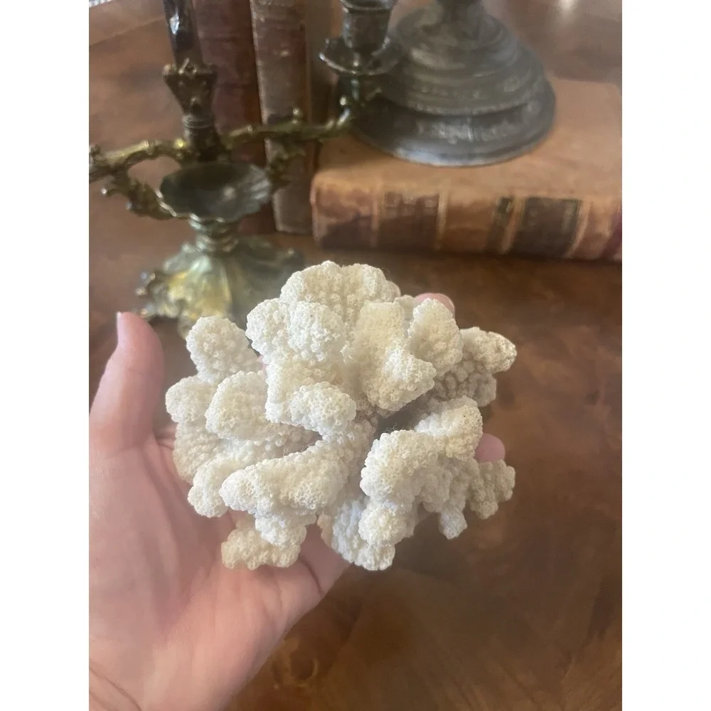 N/A natural decorative
